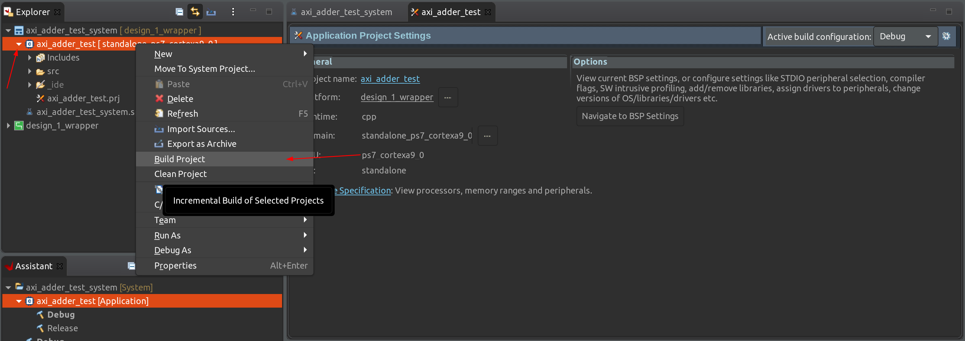 Build Software Project